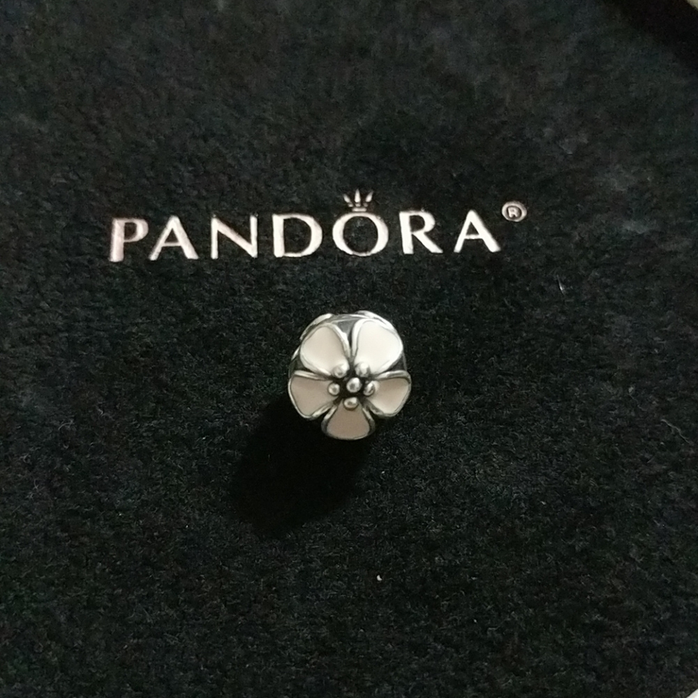Pandora Charm
